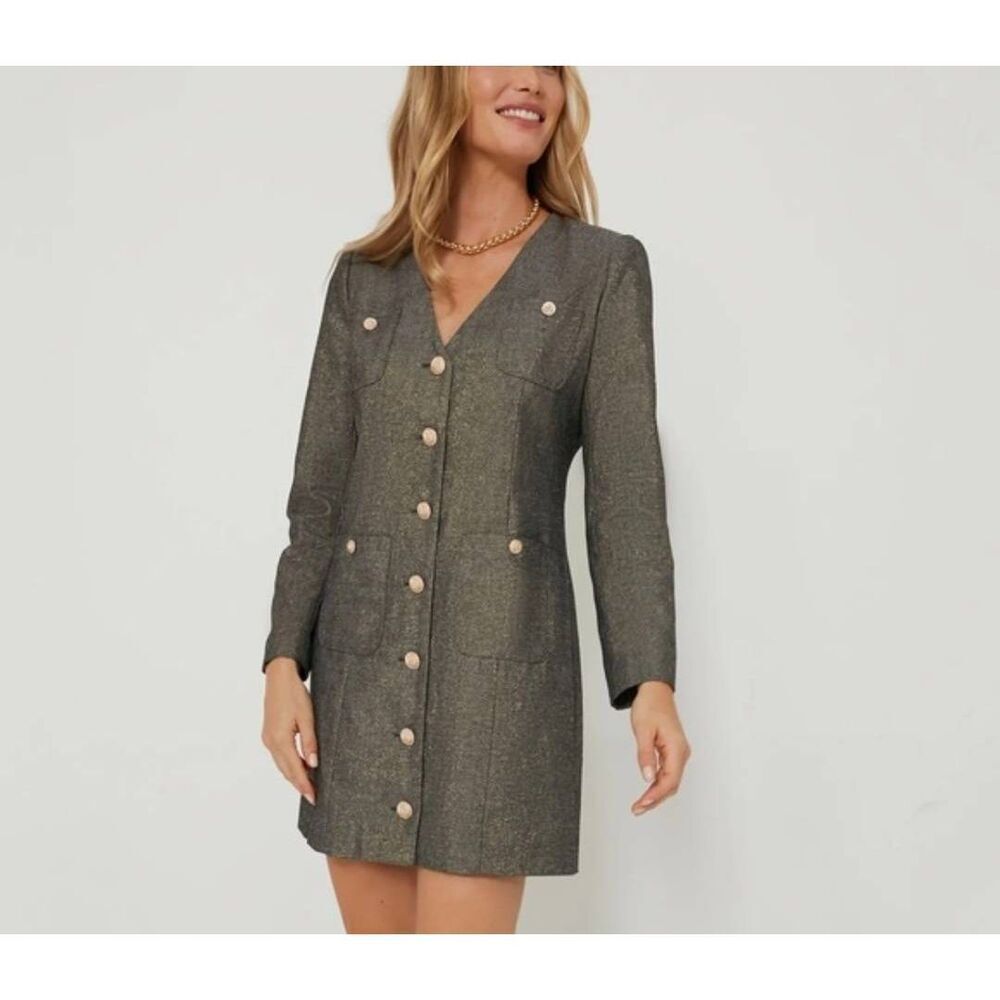 NWT Pomander Place Coventry Metallic Keira Mini Dress SZ XXL